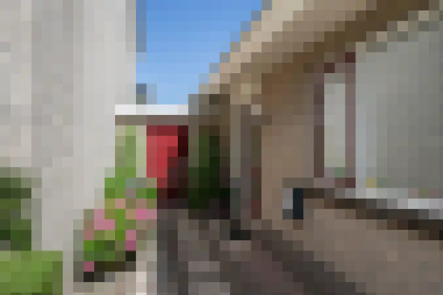 Meerkoet 66 's-Gravenzande thumbnail 43