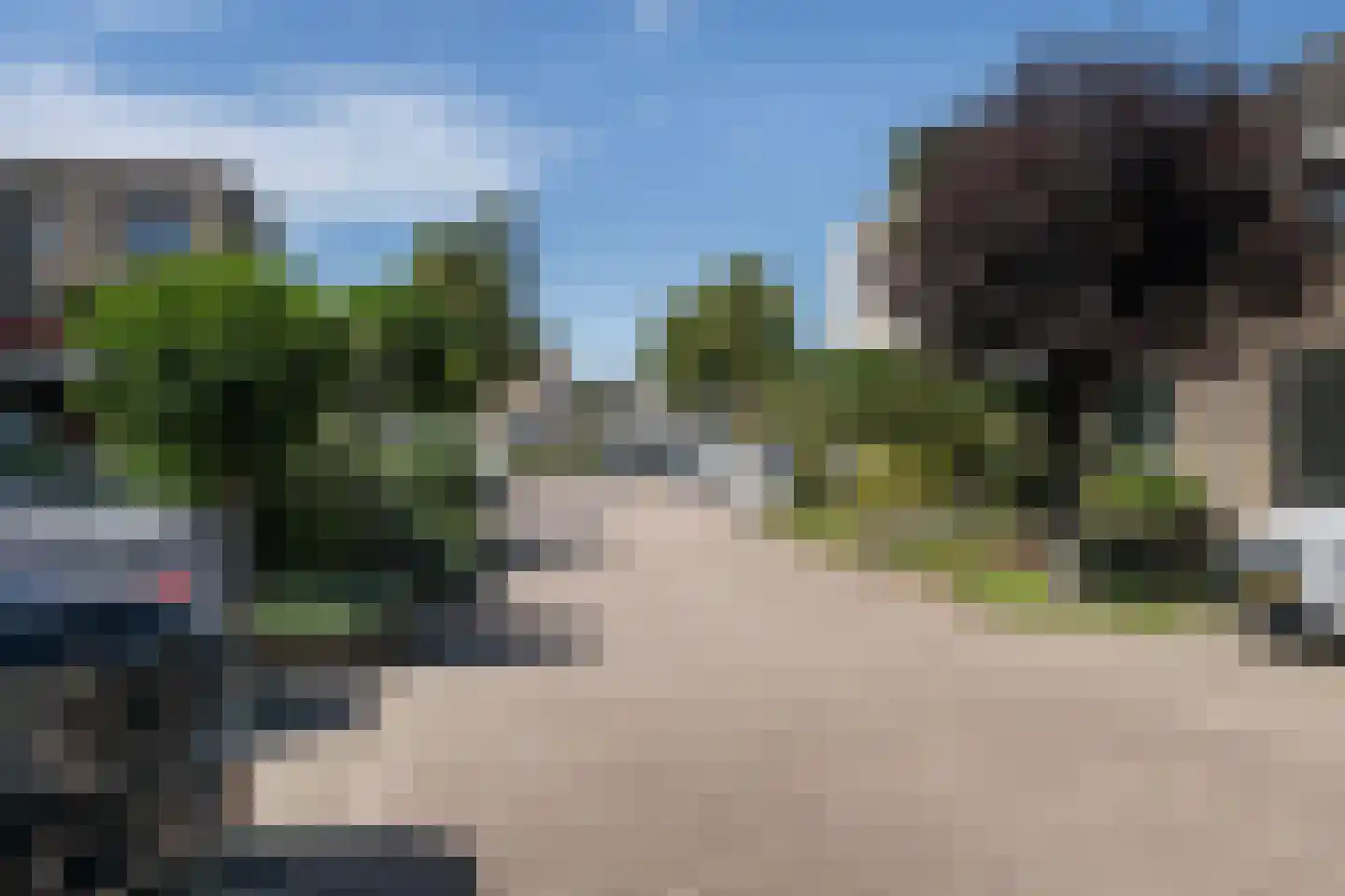Meerkoet 66 's-Gravenzande thumbnail 46
