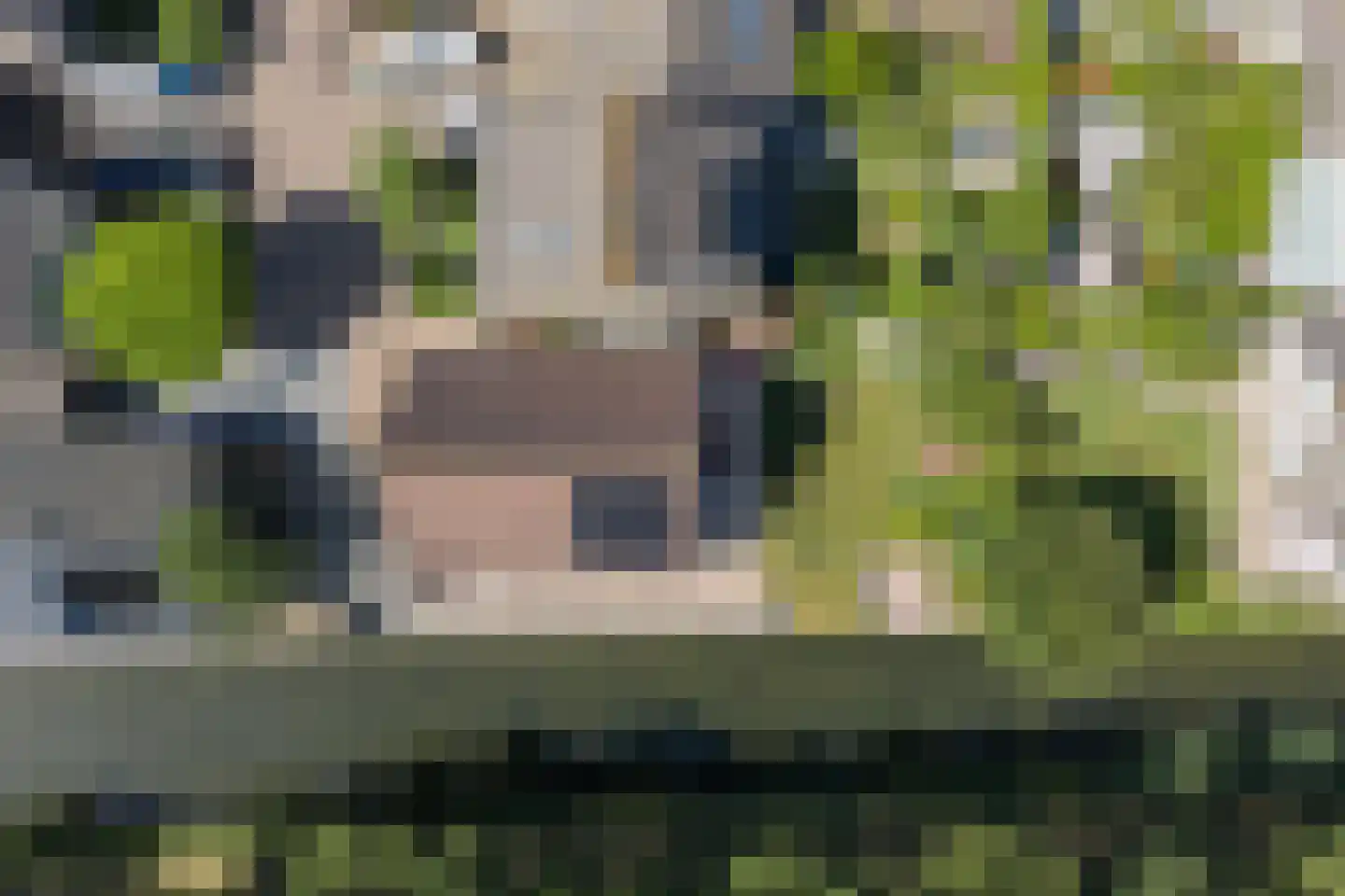 Meerkoet 66 's-Gravenzande thumbnail 48