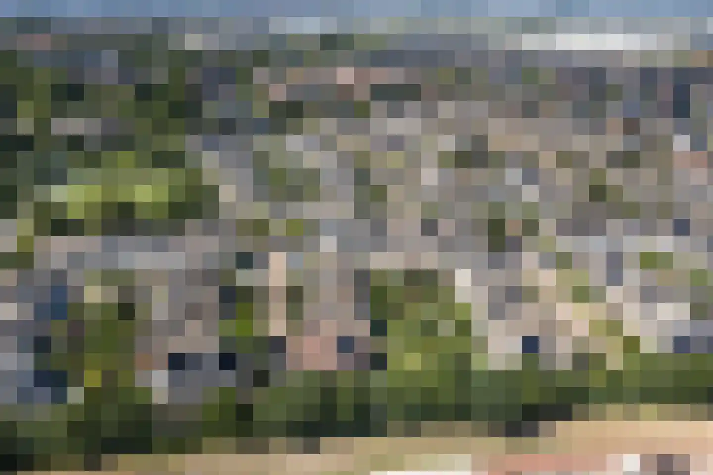 Meerkoet 66 's-Gravenzande thumbnail 49