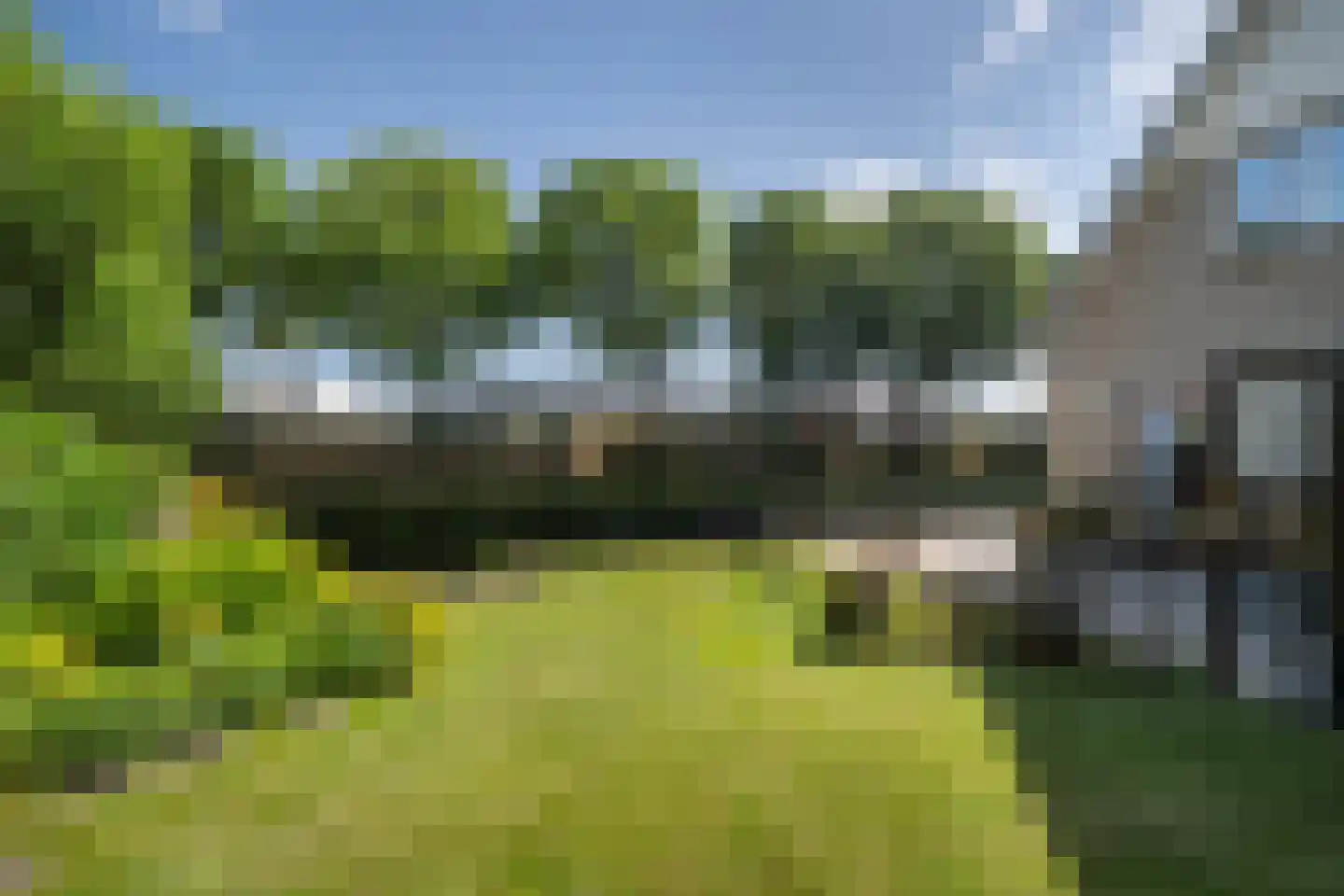 Meerkoet 66 's-Gravenzande thumbnail 8