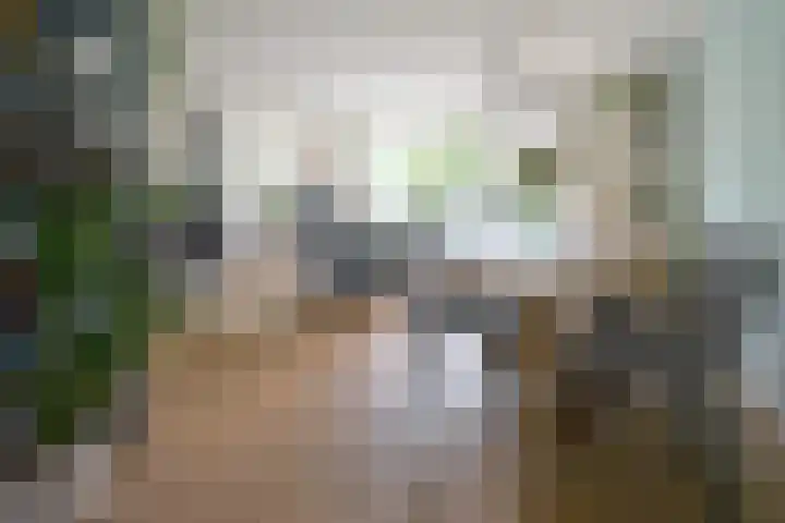 Meerkoet 7 Driebergen-Rijsenburg thumbnail 11