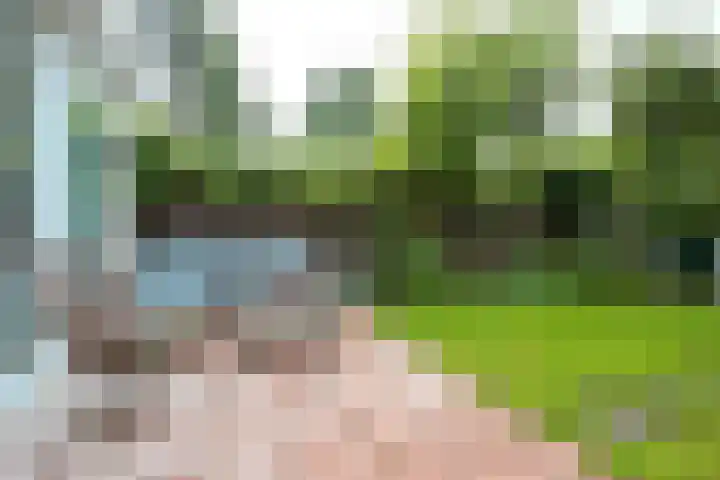 Meerkoet 7 Driebergen-Rijsenburg thumbnail 32