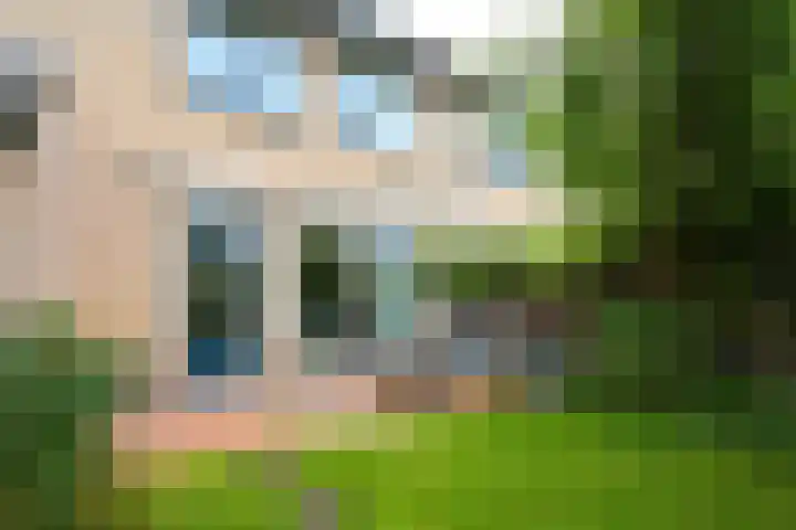 Meerkoet 7 Driebergen-Rijsenburg thumbnail 34