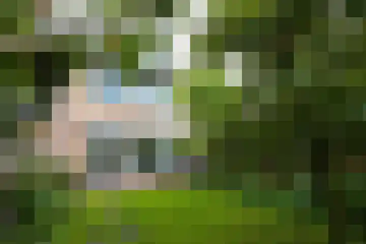 Meerkoet 7 Driebergen-Rijsenburg thumbnail 37