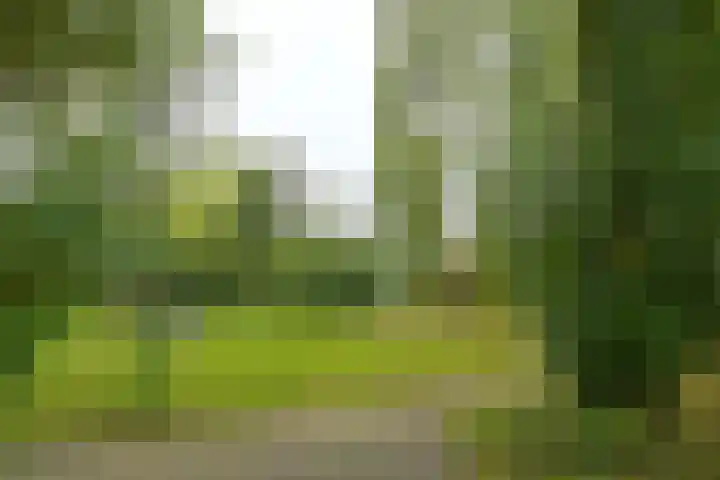 Meerkoet 7 Driebergen-Rijsenburg thumbnail 42