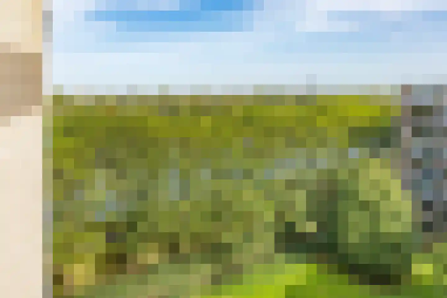 Meerkoet 77 Diemen thumbnail 18