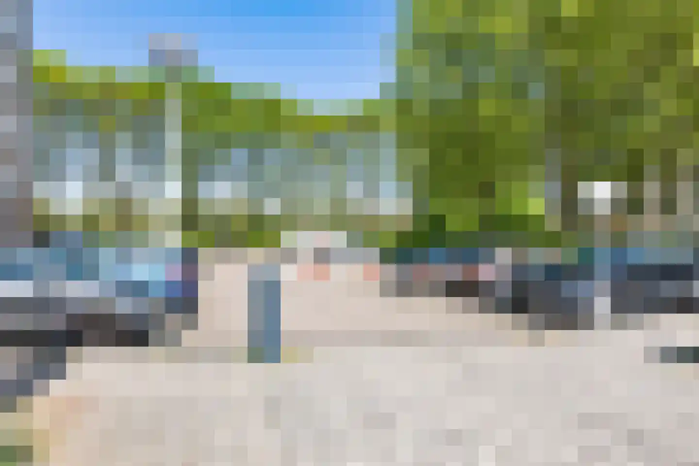Meerkoet 77 Diemen thumbnail 30