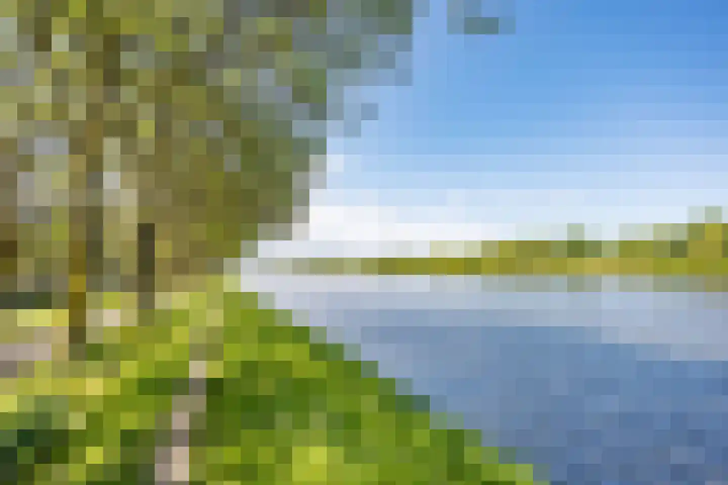 Meerkoet 77 Diemen thumbnail 33