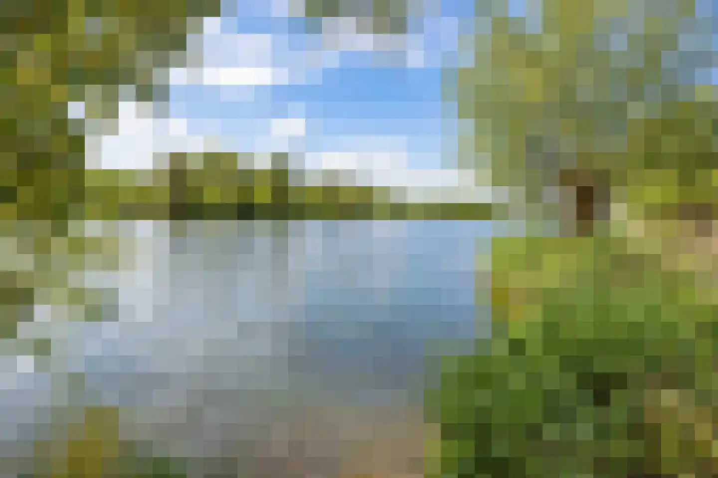 Meerkoet 77 Diemen thumbnail 34