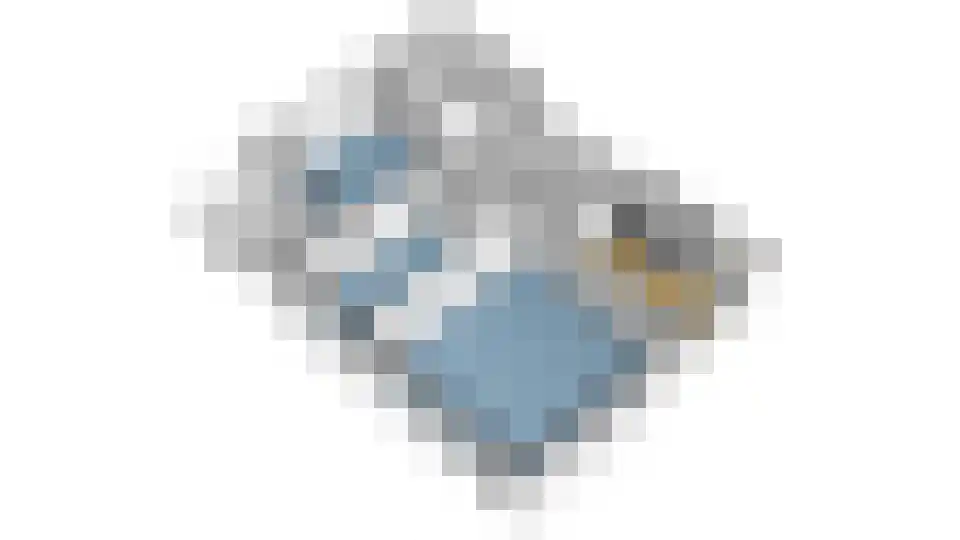 Meerkoet 77 Diemen thumbnail 36