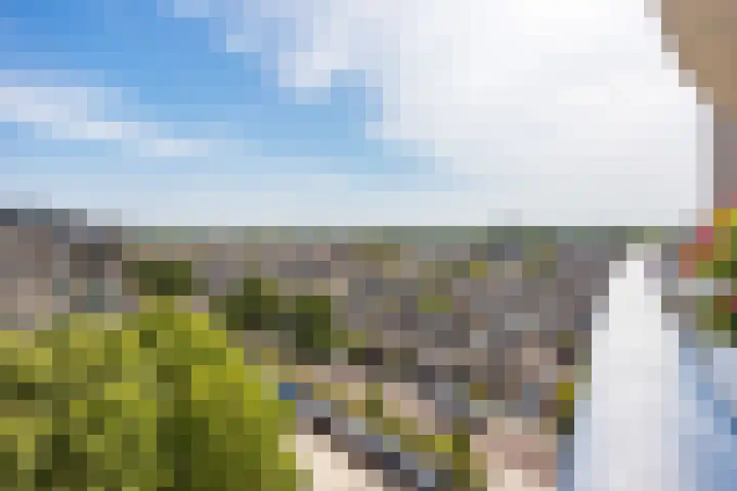 Meerkoet 77 Diemen thumbnail 4