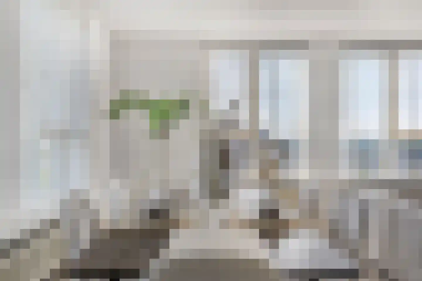 Meerkoet 87 Diemen thumbnail 15