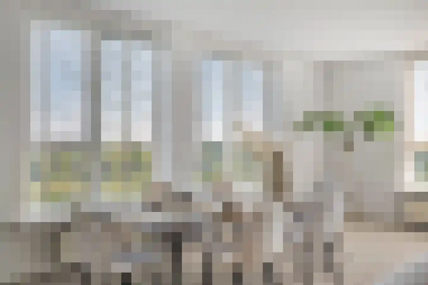 Meerkoet 87 Diemen thumbnail 16