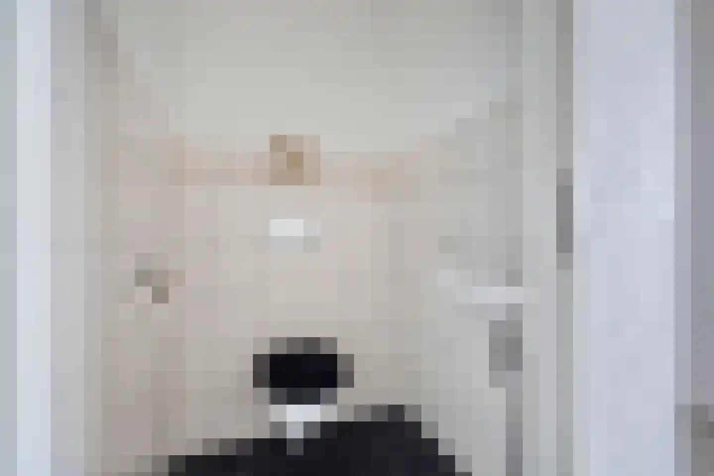 Meerkoet 87 Diemen thumbnail 27