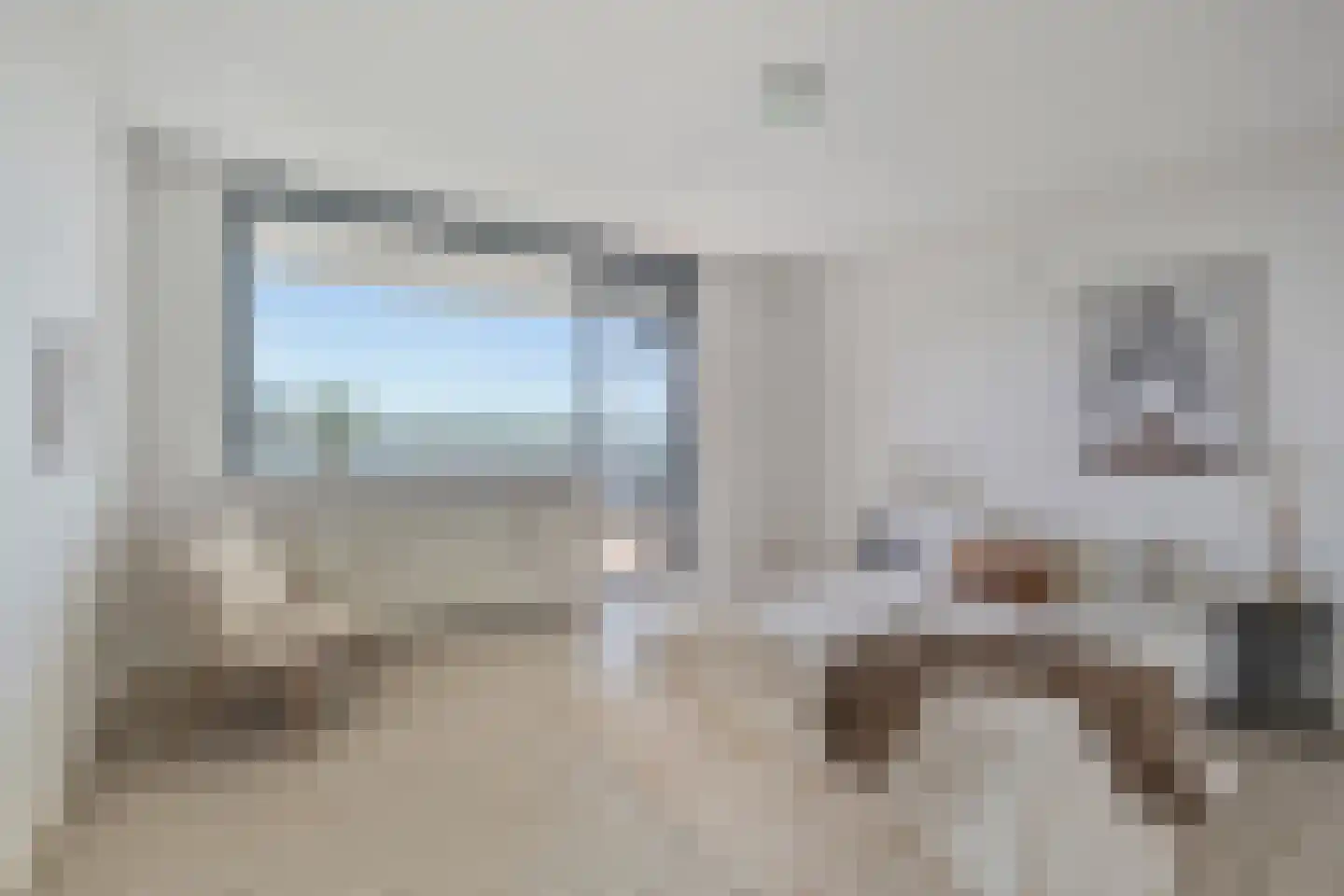 Meerkoet 87 Diemen thumbnail 4