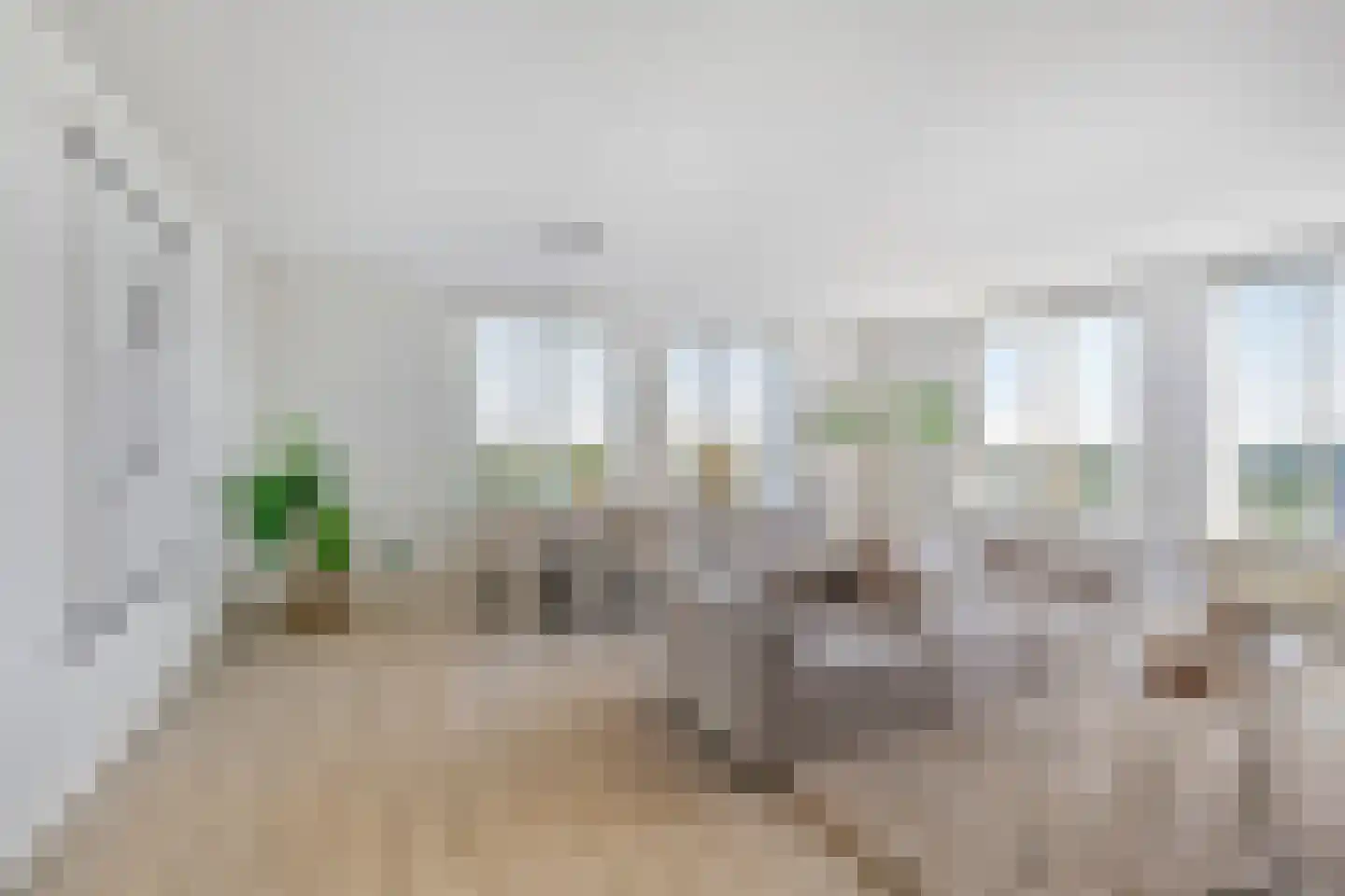 Meerkoet 87 Diemen thumbnail 8