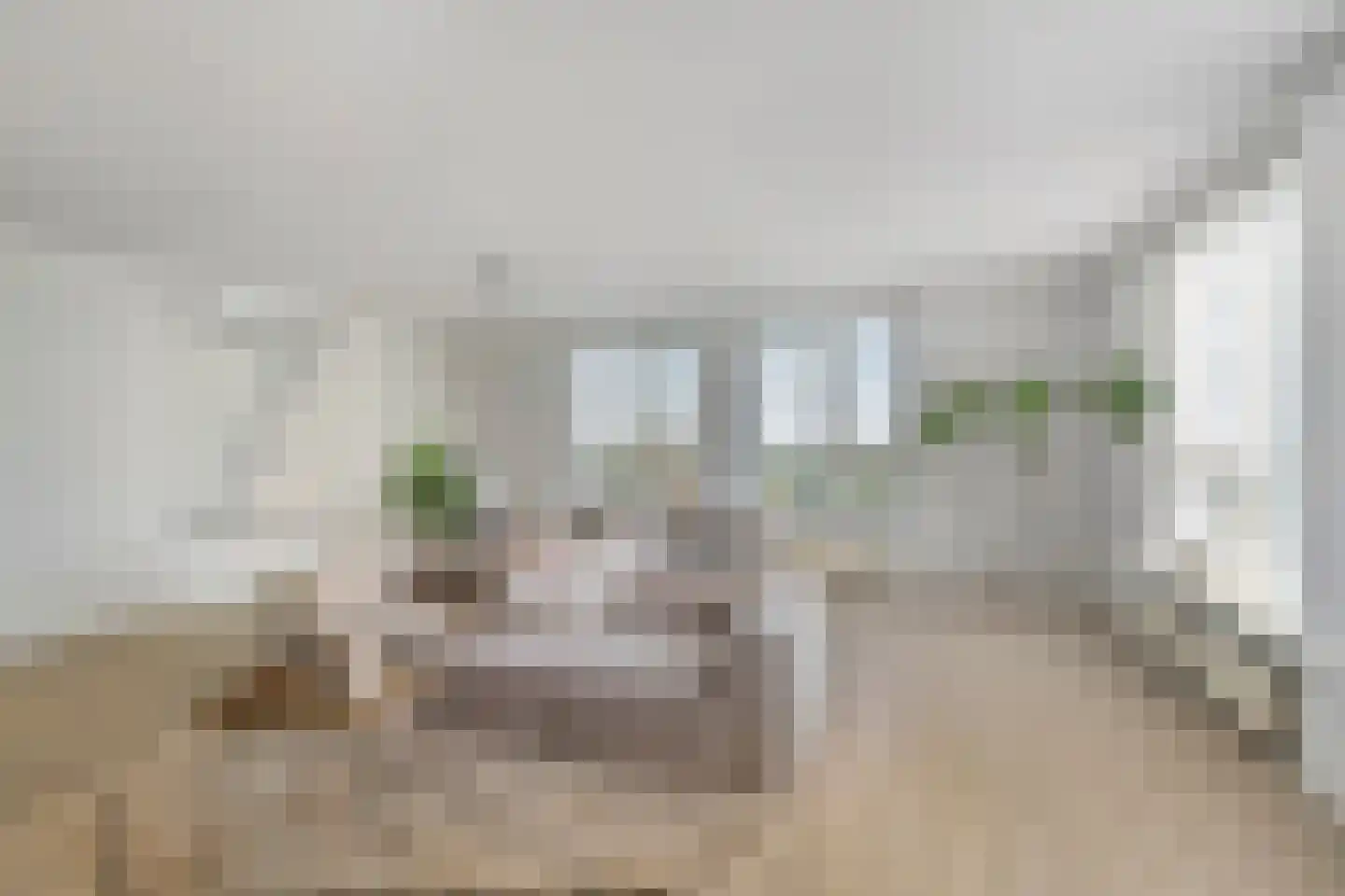 Meerkoet 87 Diemen thumbnail 9