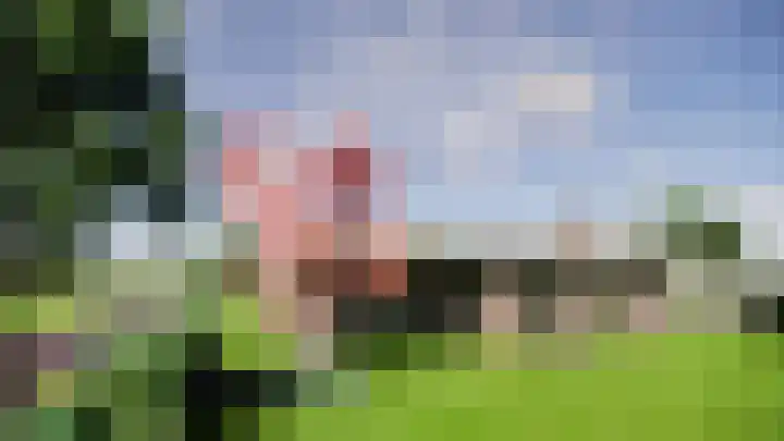 Meerkoet 9 in Emmer-Compascuum