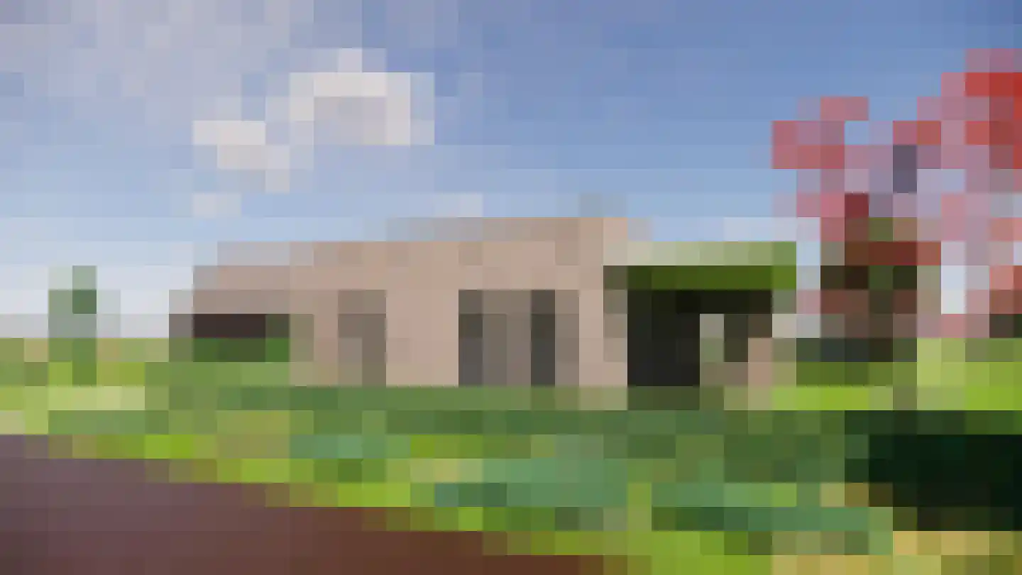 Meerkoet 9 Emmer-Compascuum thumbnail 6