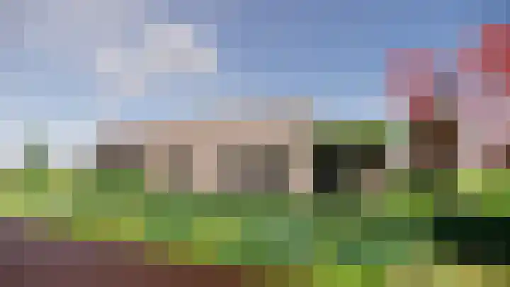 Meerkoet 9 Emmer-Compascuum thumbnail 6