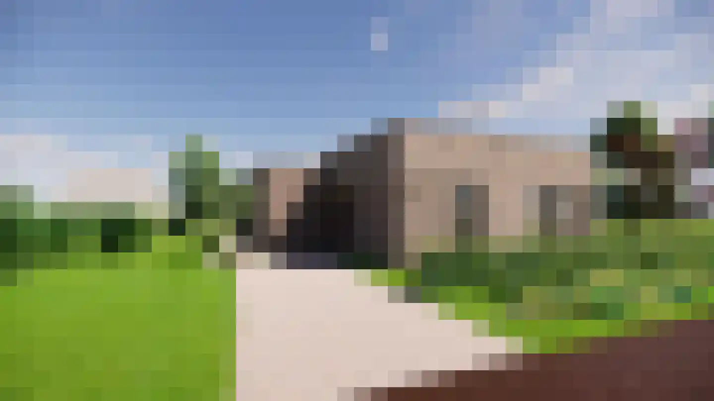 Meerkoet 9 Emmer-Compascuum thumbnail 7