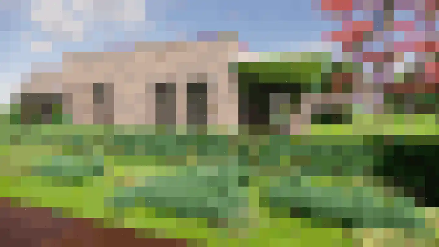 Meerkoet 9 Emmer-Compascuum thumbnail 8