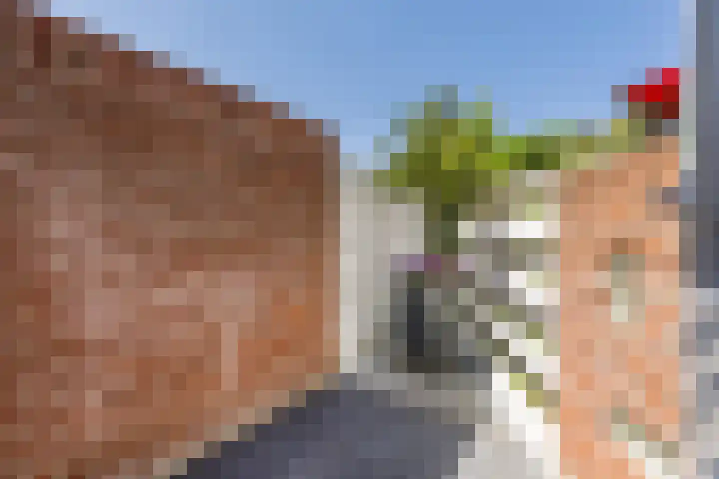 Meerkoet 9 Mijdrecht thumbnail 12