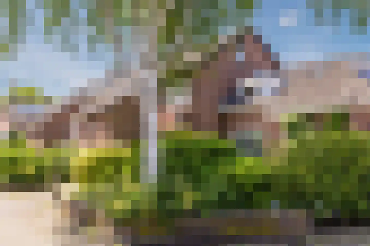 Meerkoet 9 Mijdrecht thumbnail 28