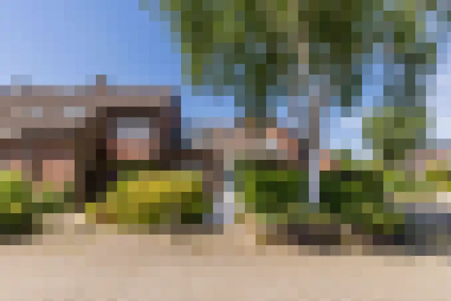 Meerkoet 9 Mijdrecht thumbnail 29