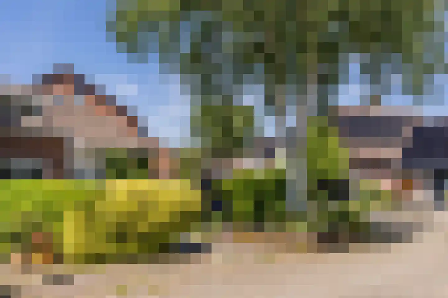 Meerkoet 9 Mijdrecht thumbnail 30