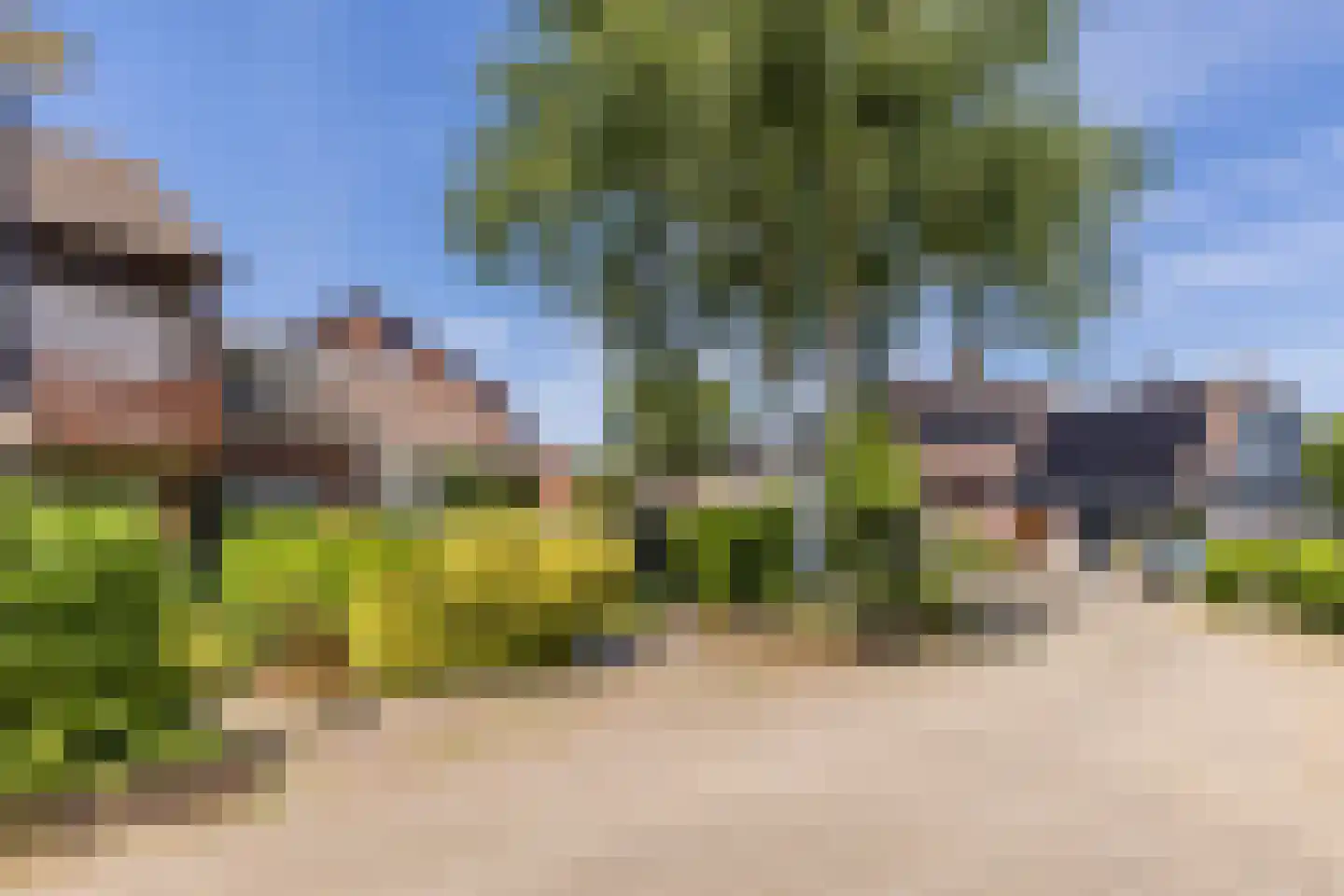 Meerkoet 9 Mijdrecht thumbnail 31