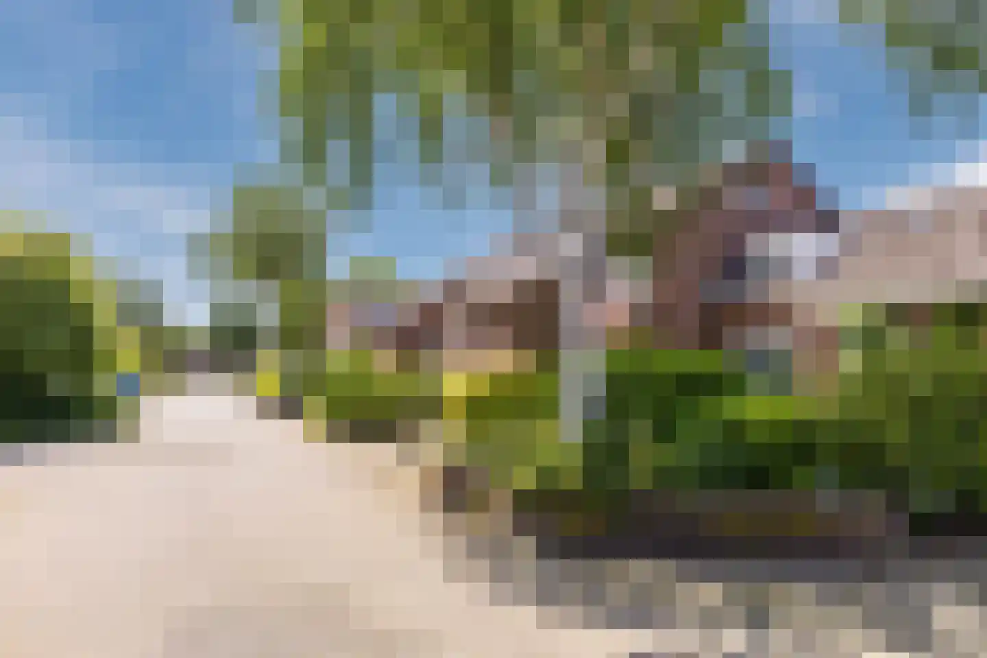 Meerkoet 9 Mijdrecht thumbnail 32