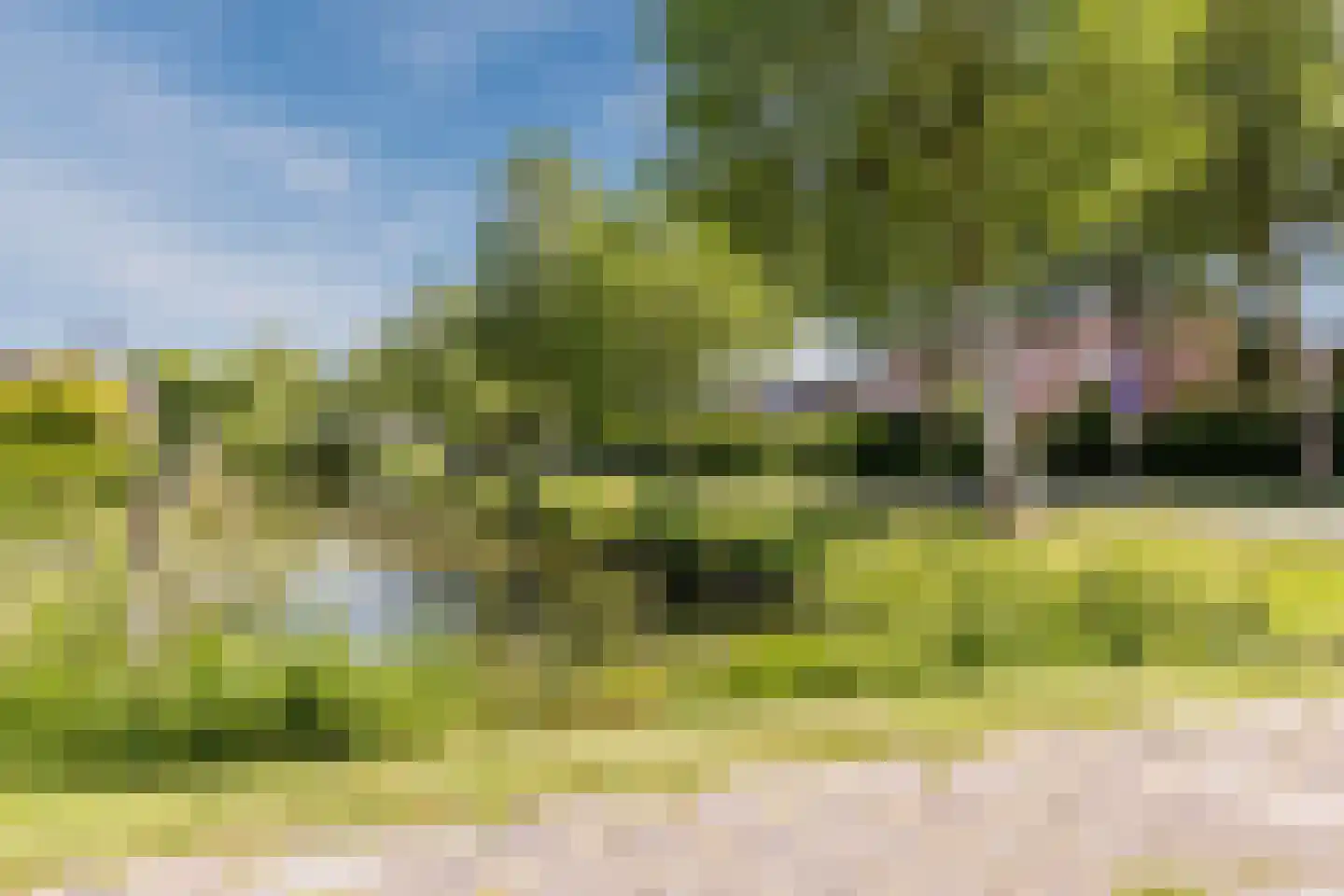Meerkoet 9 Mijdrecht thumbnail 33