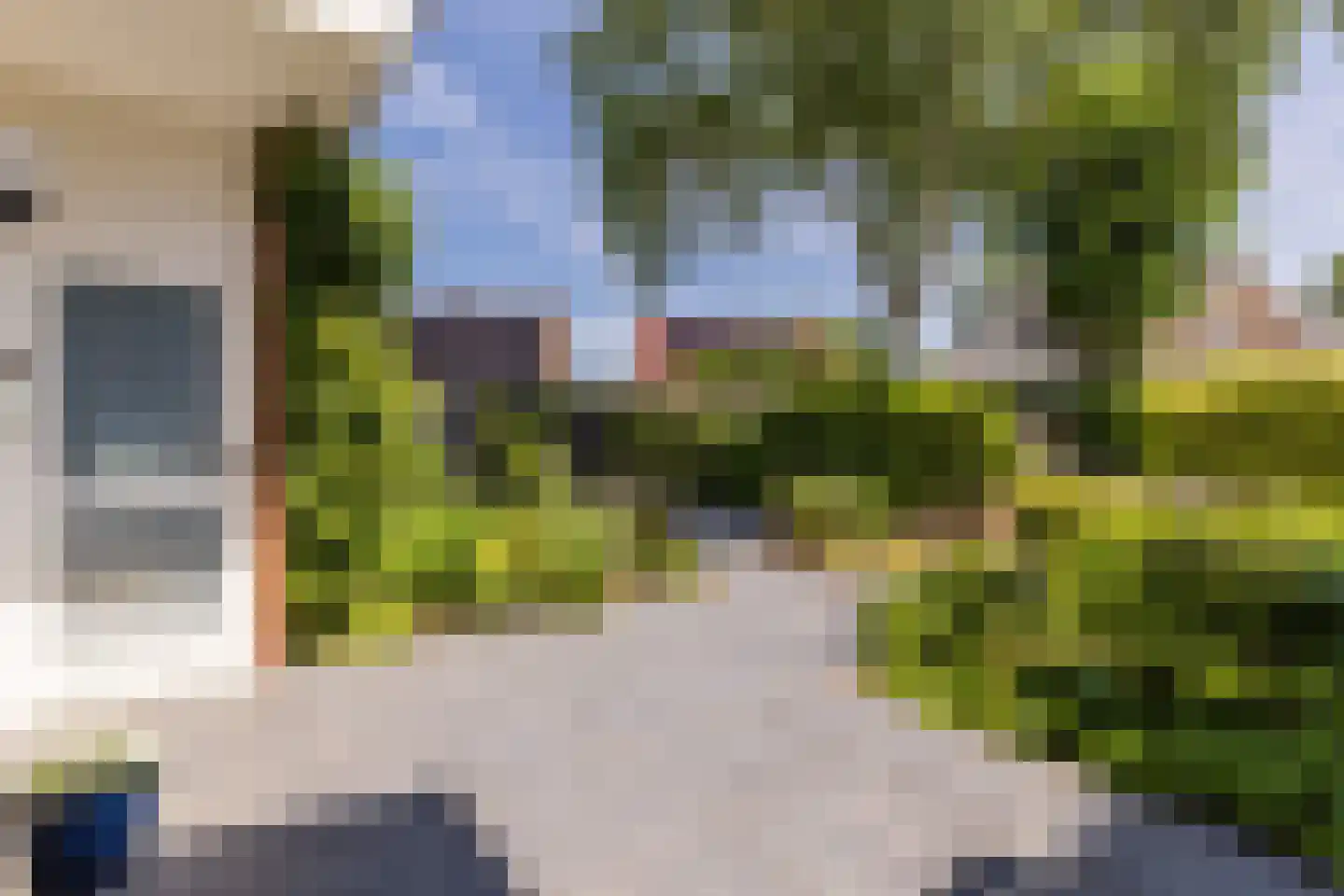 Meerkoet 9 Mijdrecht thumbnail 4