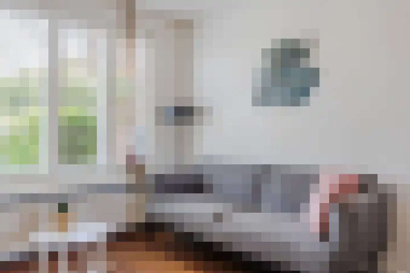 Meerkoet 9 Mijdrecht thumbnail 5