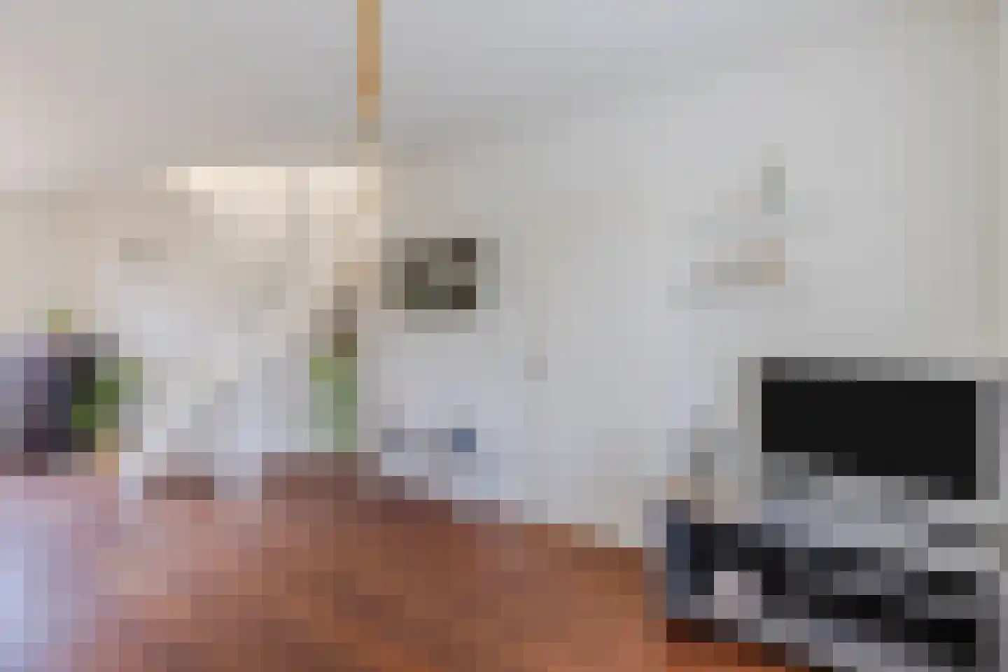 Meerkoet 9 Mijdrecht thumbnail 8
