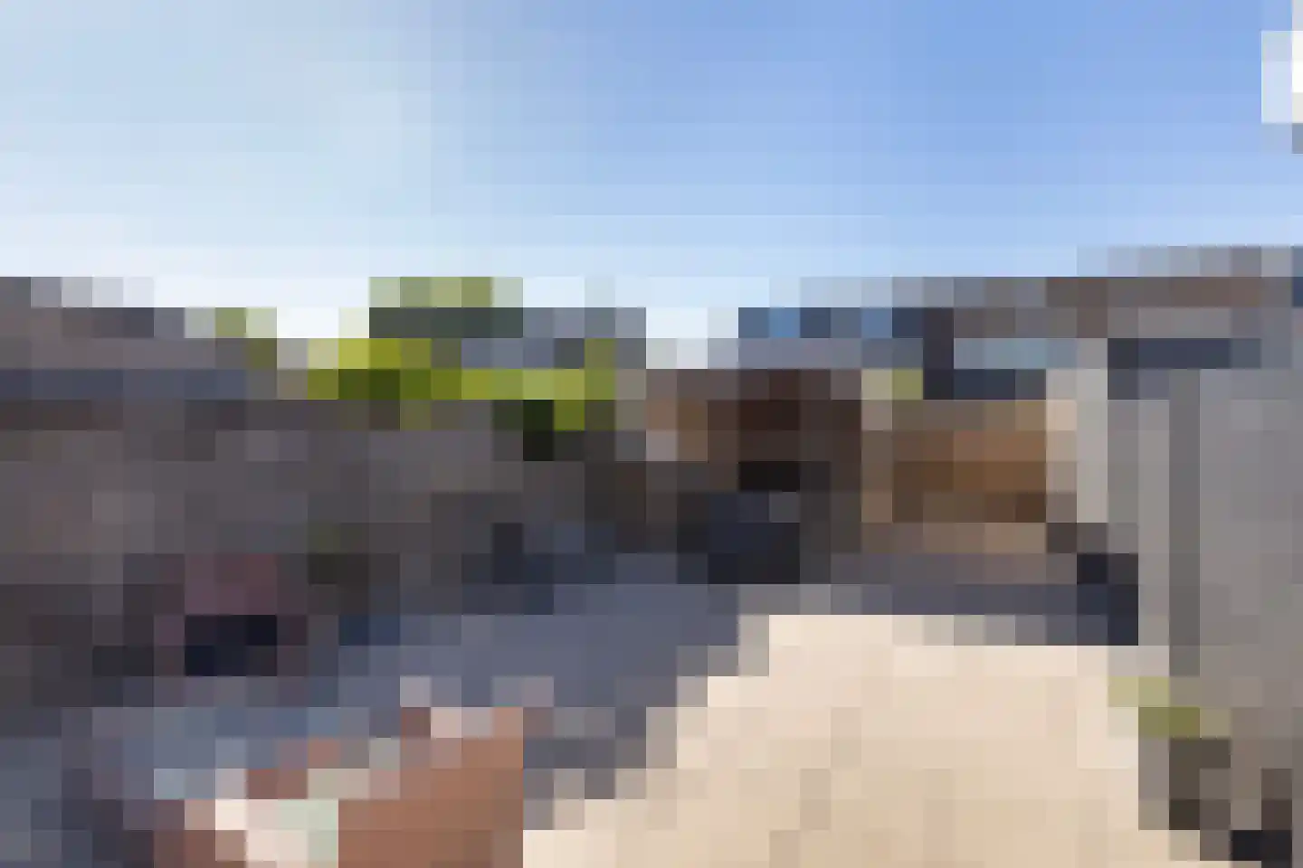 Meerkoet 9 Oud-Beijerland thumbnail 30