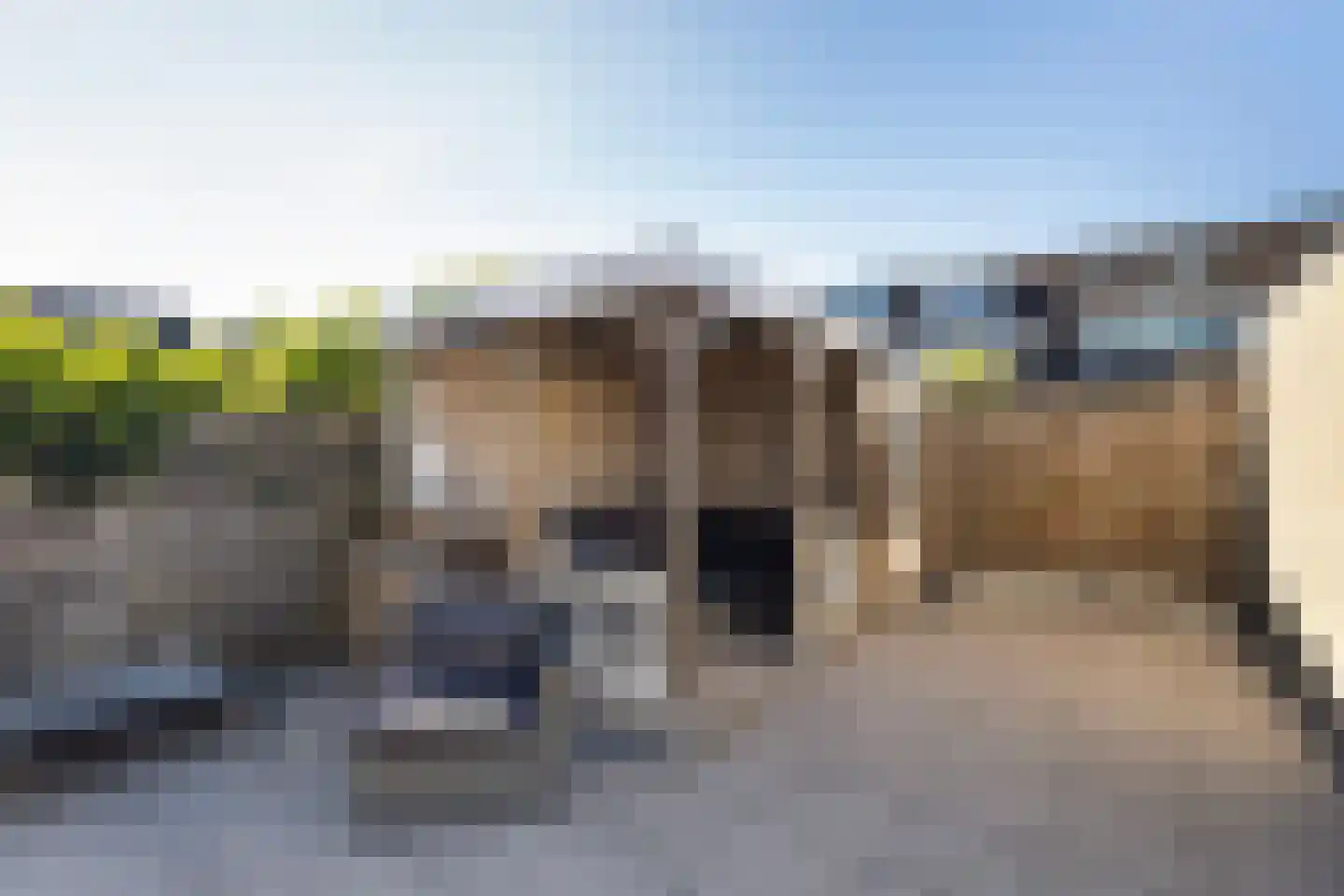 Meerkoet 9 Oud-Beijerland thumbnail 32