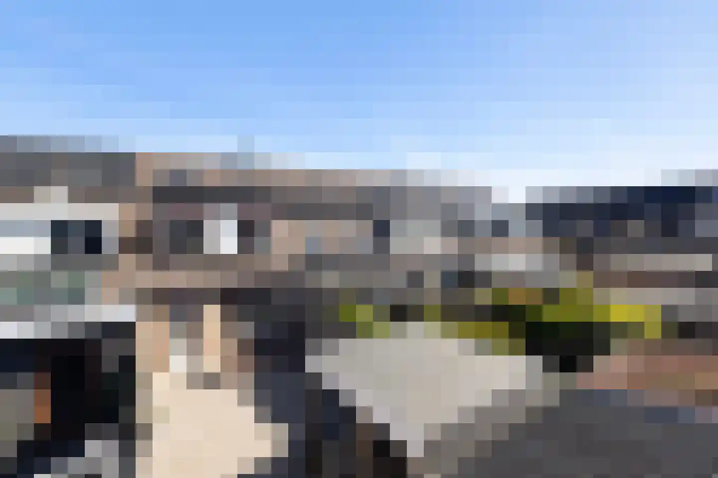 Meerkoet 9 Oud-Beijerland thumbnail 35