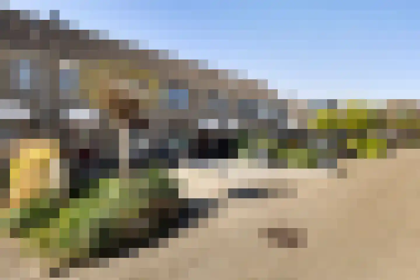 Meerkoet 9 Oud-Beijerland thumbnail 37