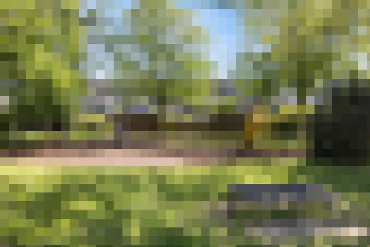 Meerkoet 9 Oud-Beijerland thumbnail 38