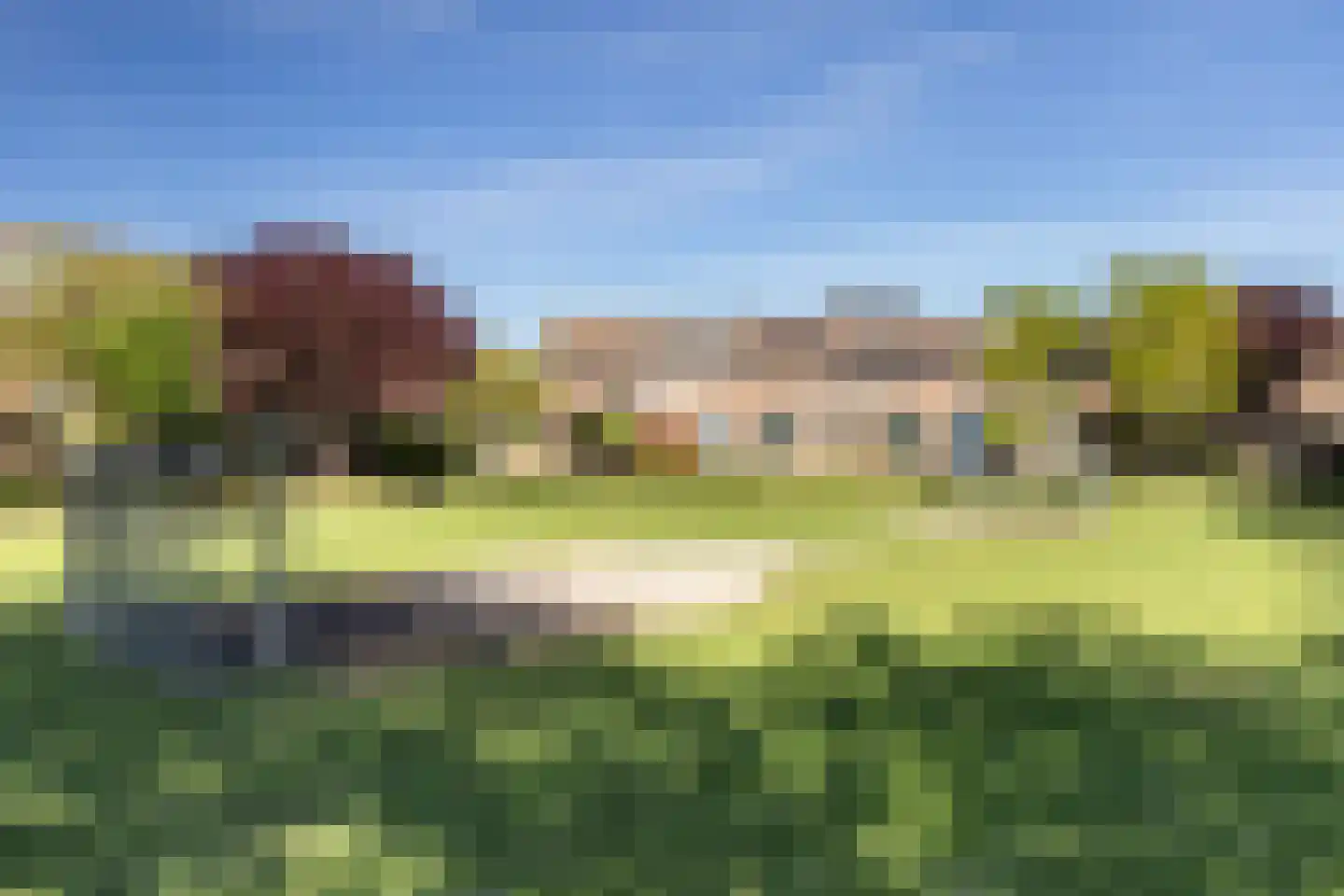 Meerkoet 9 Oud-Beijerland thumbnail 39