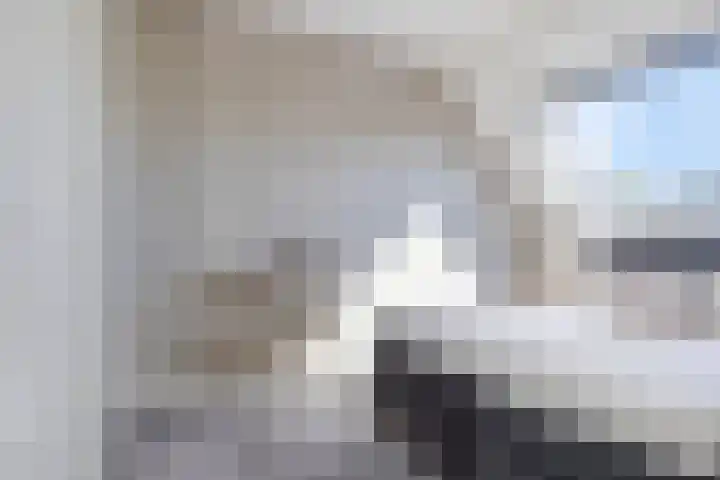 Meerkoet 9 Piershil thumbnail 14