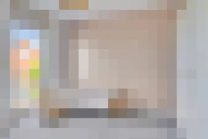 Meerkoet 9 Piershil thumbnail 16