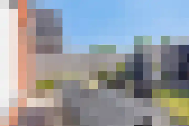 Meerkoet 9 Piershil thumbnail 25