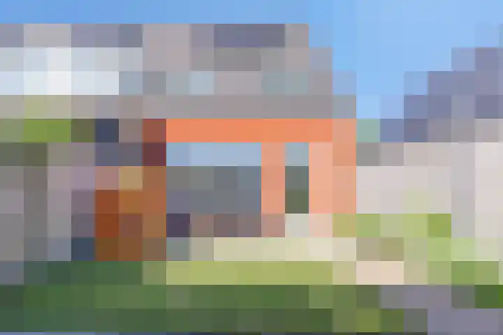 Meerkoet 9 Piershil thumbnail 27