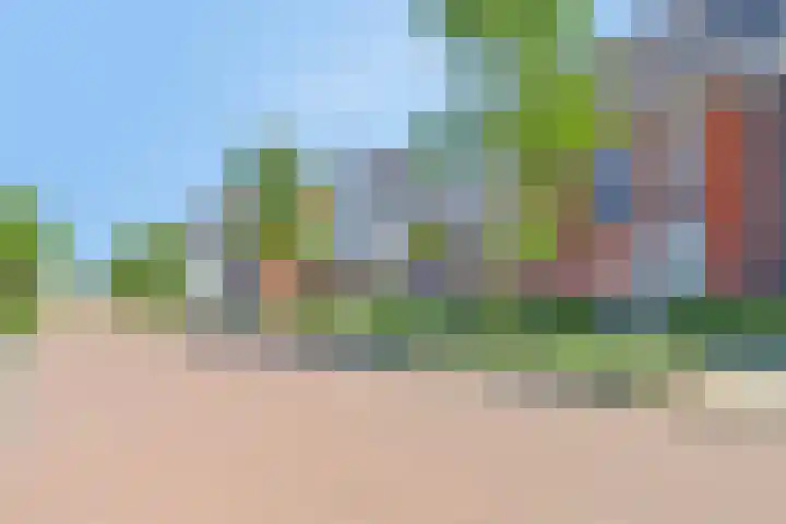 Meerkoet 9 Piershil thumbnail 30
