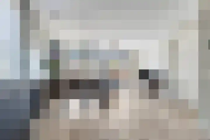 Meerkoet 9 Piershil thumbnail 5