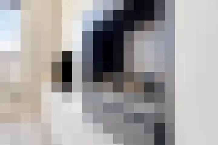 Meerkoet 9 Piershil thumbnail 7